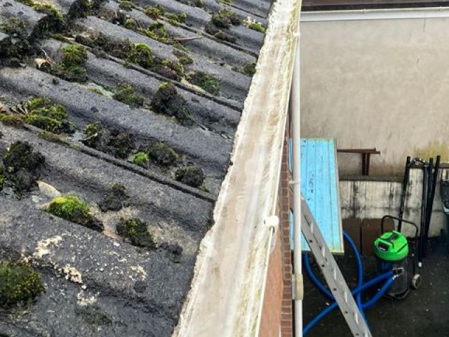 gutter-cleaining-p-29
