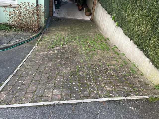Drive Way  Before Cleaning